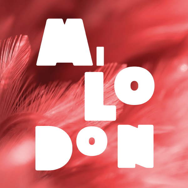Milodon Conseil Annecy